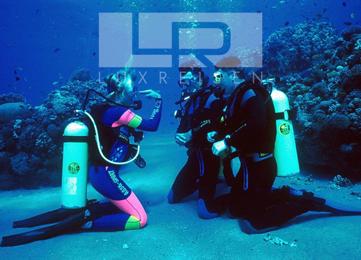 Padi Open water Tauchkurs für Anfänger  photo